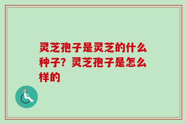 灵芝孢子是灵芝的什么种子?灵芝孢子是怎么样的-第1张图片-卓越灵芝孢子粉 灵芝孢子是灵芝的什么种子?灵芝孢子是怎么样的-第1张图片-卓越灵芝孢子粉