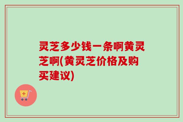 灵芝多少钱一条啊黄灵芝啊(黄灵芝价格及购买建议)-第1张图片-卓越灵芝孢子粉 灵芝多少钱一条啊黄灵芝啊(黄灵芝价格及购买建议)-第1张图片-卓越灵芝孢子粉