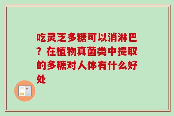 吃灵芝多糖可以消淋巴？在植物真菌类中提取的多糖对人体有什么好处-第1张图片-卓越灵芝孢子粉