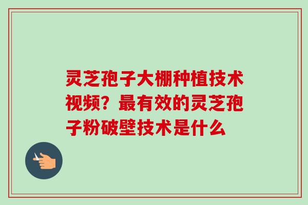 灵芝孢子大棚种植技术视频?最有效的灵芝孢子粉破壁技术是什么-第1张图片-卓越灵芝孢子粉 灵芝孢子大棚种植技术视频?最有效的灵芝孢子粉破壁技术是什么-第1张图片-卓越灵芝孢子粉