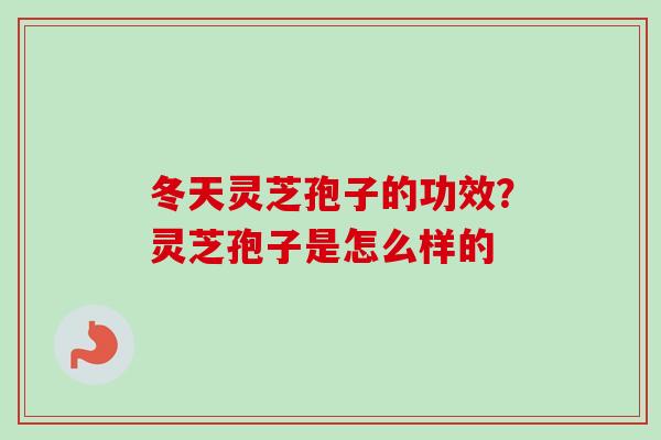 冬天灵芝孢子的功效?灵芝孢子是怎么样的-第1张图片-卓越灵芝孢子粉 冬天灵芝孢子的功效?灵芝孢子是怎么样的-第1张图片-卓越灵芝孢子粉