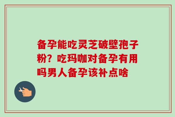 备孕能吃灵芝破壁孢子粉？吃玛咖对备孕有用吗男人备孕该补点啥-第1张图片-卓越灵芝孢子粉