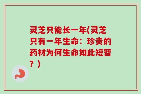 灵芝只能长一年(灵芝只有一年生命:珍贵的药材为何生命如此短暂?)-第1张图片-卓越灵芝孢子粉 灵芝只能长一年(灵芝只有一年生命:珍贵的药材为何生命如此短暂?)-第1张图片-卓越灵芝孢子粉