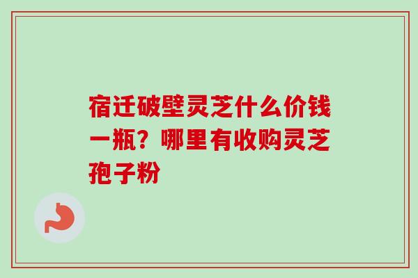 宿迁破壁灵芝什么价钱一瓶？哪里有收购灵芝孢子粉-第1张图片-卓越灵芝孢子粉