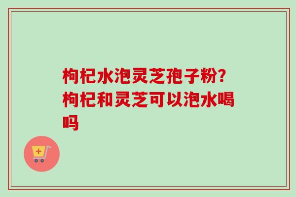 枸杞水泡灵芝孢子粉?枸杞和灵芝可以泡水喝吗-第1张图片-卓越灵芝孢子粉 枸杞水泡灵芝孢子粉?枸杞和灵芝可以泡水喝吗-第1张图片-卓越灵芝孢子粉