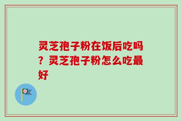 灵芝孢子粉在饭后吃吗?灵芝孢子粉怎么吃最好-第1张图片-卓越灵芝孢子粉 灵芝孢子粉在饭后吃吗?灵芝孢子粉怎么吃最好-第1张图片-卓越灵芝孢子粉