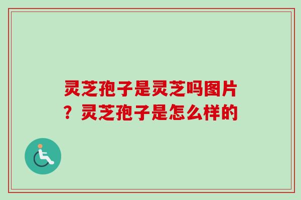 灵芝孢子是灵芝吗图片?灵芝孢子是怎么样的-第1张图片-卓越灵芝孢子粉 灵芝孢子是灵芝吗图片?灵芝孢子是怎么样的-第1张图片-卓越灵芝孢子粉