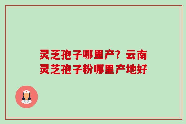 灵芝孢子哪里产？云南灵芝孢子粉哪里产地好-第1张图片-卓越灵芝孢子粉