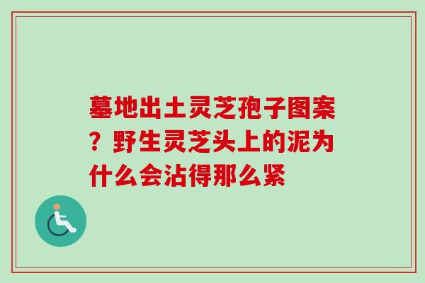 墓地出土灵芝孢子图案?野生灵芝头上的泥为什么会沾得那么紧-第1张图片-卓越灵芝孢子粉 墓地出土灵芝孢子图案?野生灵芝头上的泥为什么会沾得那么紧-第1张图片-卓越灵芝孢子粉