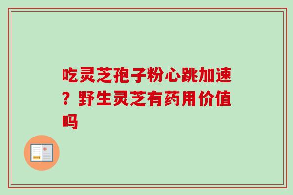 吃灵芝孢子粉心跳加速?野生灵芝有药用价值吗-第1张图片-卓越灵芝孢子粉 吃灵芝孢子粉心跳加速?野生灵芝有药用价值吗-第1张图片-卓越灵芝孢子粉