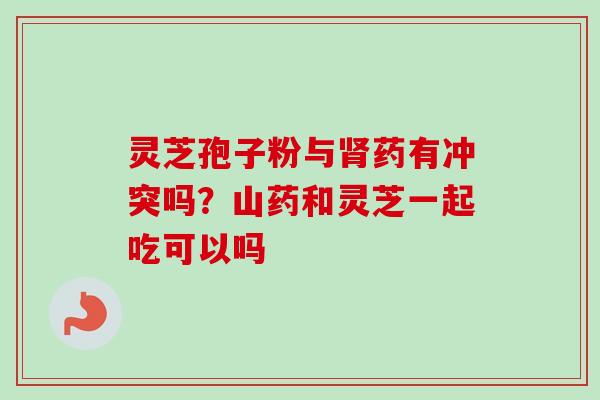灵芝孢子粉与肾药有冲突吗？山药和灵芝一起吃可以吗-第1张图片-卓越灵芝孢子粉