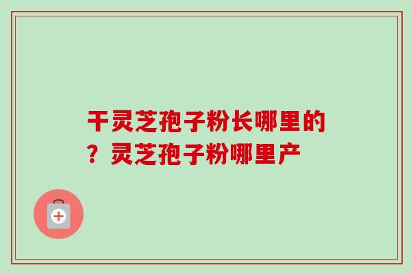 干灵芝孢子粉长哪里的?灵芝孢子粉哪里产-第1张图片-卓越灵芝孢子粉 干灵芝孢子粉长哪里的?灵芝孢子粉哪里产-第1张图片-卓越灵芝孢子粉