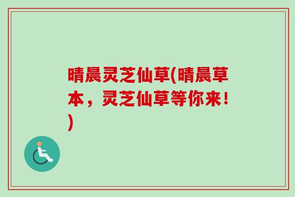 晴晨灵芝仙草(晴晨草本,灵芝仙草等你来!)-第1张图片-卓越灵芝孢子粉 晴晨灵芝仙草(晴晨草本,灵芝仙草等你来!)-第1张图片-卓越灵芝孢子粉