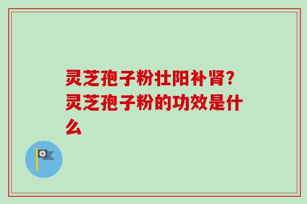 灵芝孢子粉壮阳补肾？灵芝孢子粉的功效是什么-第1张图片-卓越灵芝孢子粉
