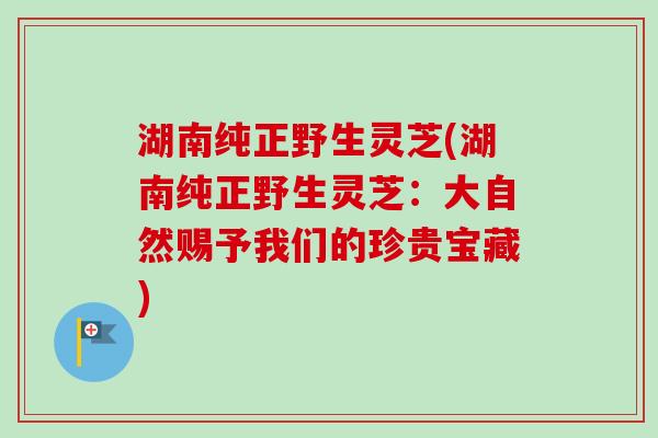 湖南纯正野生灵芝(湖南纯正野生灵芝:大自然赐予我们的珍贵宝藏)-第1张图片-卓越灵芝孢子粉 湖南纯正野生灵芝(湖南纯正野生灵芝:大自然赐予我们的珍贵宝藏)-第1张图片-卓越灵芝孢子粉