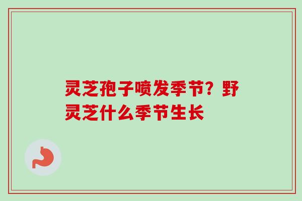 灵芝孢子喷发季节？野灵芝什么季节生长-第1张图片-卓越灵芝孢子粉