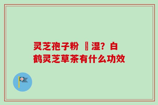 灵芝孢子粉 袪湿？白鹤灵芝草茶有什么功效-第1张图片-卓越灵芝孢子粉