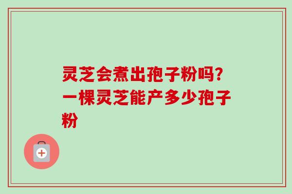 灵芝会煮出孢子粉吗？一棵灵芝能产多少孢子粉-第1张图片-卓越灵芝孢子粉