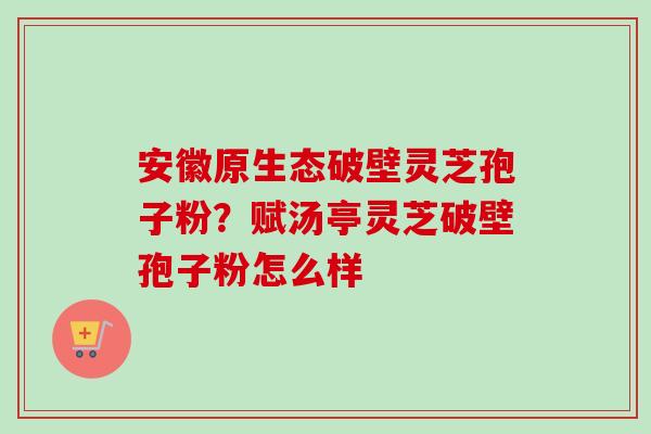 安徽原生态破壁灵芝孢子粉?赋汤亭灵芝破壁孢子粉怎么样-第1张图片-卓越灵芝孢子粉 安徽原生态破壁灵芝孢子粉?赋汤亭灵芝破壁孢子粉怎么样-第1张图片-卓越灵芝孢子粉