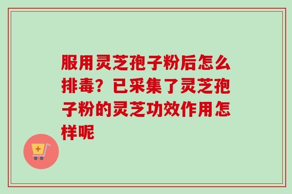 服用灵芝孢子粉后怎么排毒?已采集了灵芝孢子粉的灵芝功效作用怎样呢-第1张图片-卓越灵芝孢子粉 服用灵芝孢子粉后怎么排毒?已采集了灵芝孢子粉的灵芝功效作用怎样呢-第1张图片-卓越灵芝孢子粉
