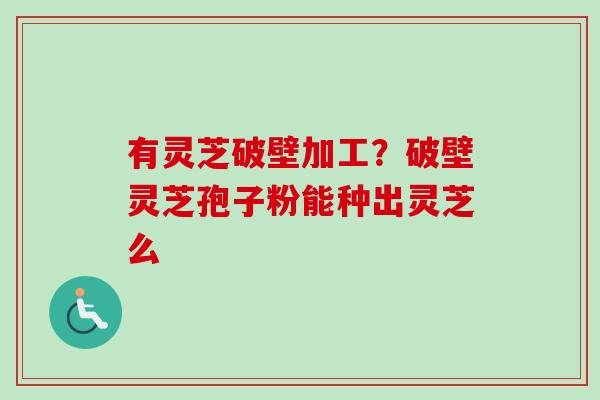 有灵芝破壁加工?破壁灵芝孢子粉能种出灵芝么-第1张图片-卓越灵芝孢子粉 有灵芝破壁加工?破壁灵芝孢子粉能种出灵芝么-第1张图片-卓越灵芝孢子粉