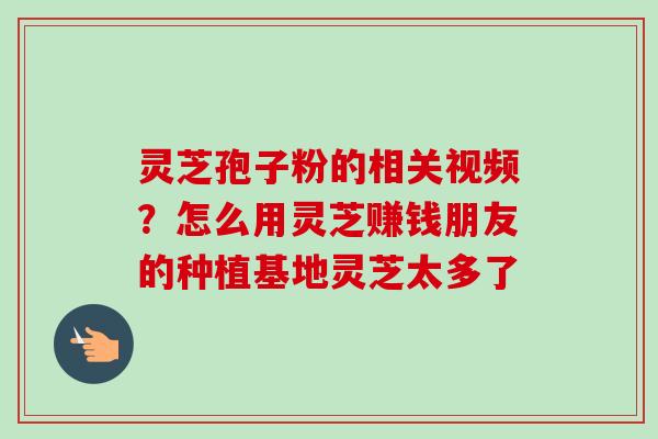 灵芝孢子粉的相关视频?怎么用灵芝赚钱朋友的种植基地灵芝太多了-第1张图片-卓越灵芝孢子粉 灵芝孢子粉的相关视频?怎么用灵芝赚钱朋友的种植基地灵芝太多了-第1张图片-卓越灵芝孢子粉