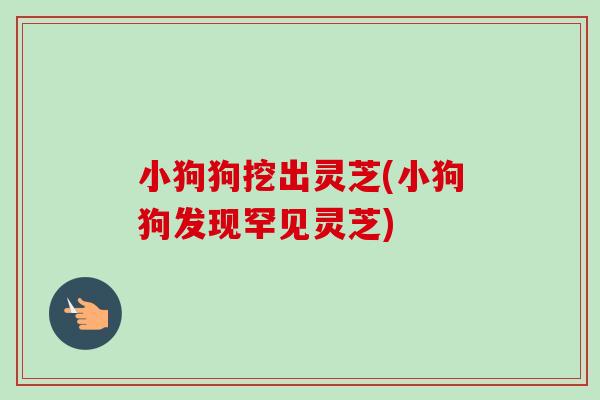 小狗狗挖出灵芝(小狗狗发现罕见灵芝)-第1张图片-卓越灵芝孢子粉 小狗狗挖出灵芝(小狗狗发现罕见灵芝)-第1张图片-卓越灵芝孢子粉