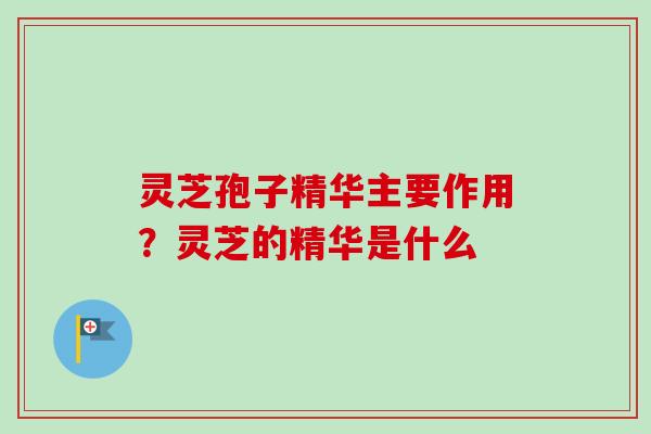 灵芝孢子精华主要作用?灵芝的精华是什么-第1张图片-卓越灵芝孢子粉 灵芝孢子精华主要作用?灵芝的精华是什么-第1张图片-卓越灵芝孢子粉