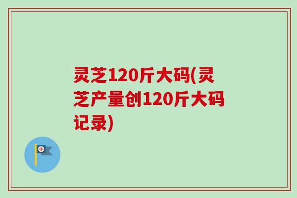 灵芝120斤大码(灵芝产量创120斤大码记录)-第1张图片-卓越灵芝孢子粉