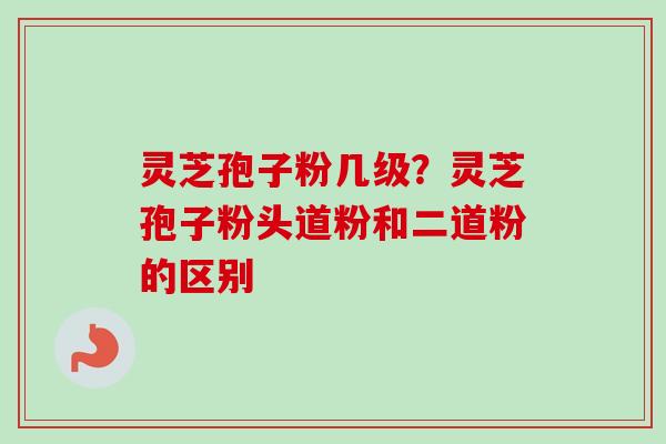 灵芝孢子粉几级？灵芝孢子粉头道粉和二道粉的区别-第1张图片-卓越灵芝孢子粉