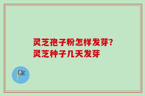 灵芝孢子粉怎样发芽?灵芝种子几天发芽-第1张图片-卓越灵芝孢子粉 灵芝孢子粉怎样发芽?灵芝种子几天发芽-第1张图片-卓越灵芝孢子粉