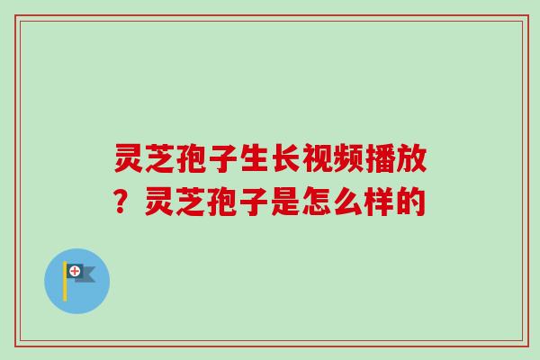 灵芝孢子生长视频播放?灵芝孢子是怎么样的-第1张图片-卓越灵芝孢子粉 灵芝孢子生长视频播放?灵芝孢子是怎么样的-第1张图片-卓越灵芝孢子粉
