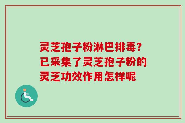 灵芝孢子粉淋巴排毒？已采集了灵芝孢子粉的灵芝功效作用怎样呢-第1张图片-卓越灵芝孢子粉