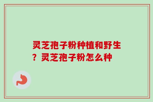 灵芝孢子粉种植和野生？灵芝孢子粉怎么种-第1张图片-卓越灵芝孢子粉
