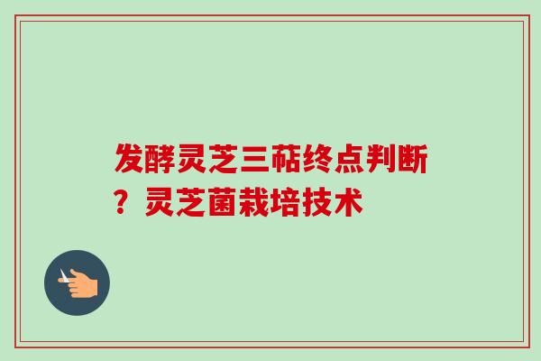 发酵灵芝三萜终点判断？灵芝菌栽培技术-第1张图片-卓越灵芝孢子粉