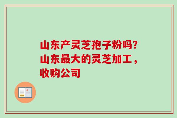山东产灵芝孢子粉吗？山东最大的灵芝加工，收购公司-第1张图片-卓越灵芝孢子粉