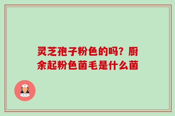 灵芝孢子粉色的吗？厨余起粉色菌毛是什么菌-第1张图片-卓越灵芝孢子粉