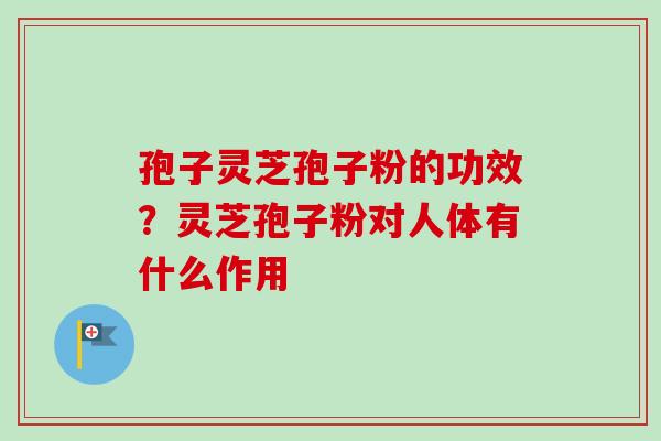 孢子灵芝孢子粉的功效？灵芝孢子粉对人体有什么作用-第1张图片-卓越灵芝孢子粉