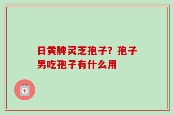 日黄牌灵芝孢子？孢子男吃孢子有什么用-第1张图片-卓越灵芝孢子粉