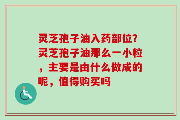 灵芝孢子油入药部位？灵芝孢子油那么一小粒，主要是由什么做成的呢，值得购买吗-第1张图片-卓越灵芝孢子粉