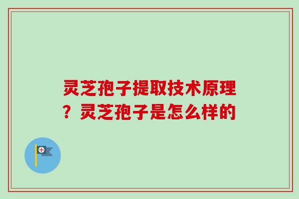 灵芝孢子提取技术原理?灵芝孢子是怎么样的-第1张图片-卓越灵芝孢子粉 灵芝孢子提取技术原理?灵芝孢子是怎么样的-第1张图片-卓越灵芝孢子粉