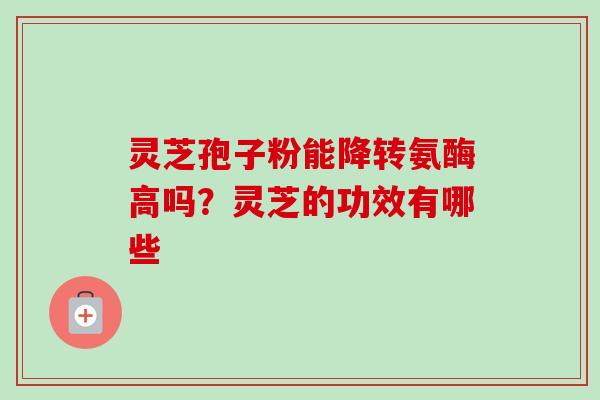 灵芝孢子粉能降转氨酶高吗?灵芝的功效有哪些-第1张图片-卓越灵芝孢子粉 灵芝孢子粉能降转氨酶高吗?灵芝的功效有哪些-第1张图片-卓越灵芝孢子粉