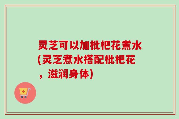 灵芝可以加枇杷花煮水(灵芝煮水搭配枇杷花，滋润身体)-第1张图片-卓越灵芝孢子粉