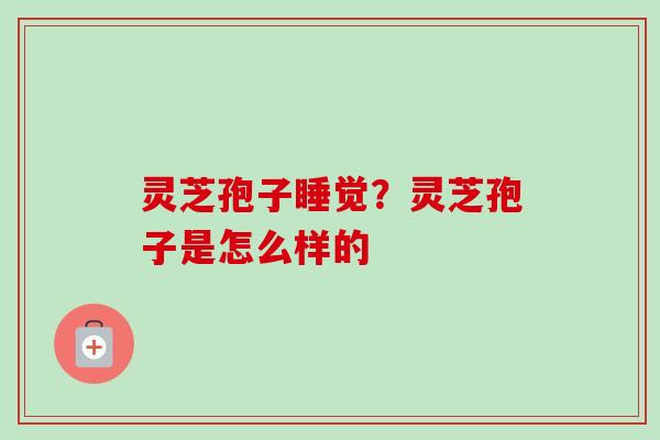 灵芝孢子睡觉?灵芝孢子是怎么样的-第1张图片-卓越灵芝孢子粉 灵芝孢子睡觉?灵芝孢子是怎么样的-第1张图片-卓越灵芝孢子粉