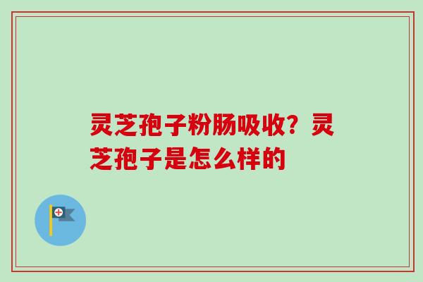 灵芝孢子粉肠吸收?灵芝孢子是怎么样的-第1张图片-卓越灵芝孢子粉 灵芝孢子粉肠吸收?灵芝孢子是怎么样的-第1张图片-卓越灵芝孢子粉