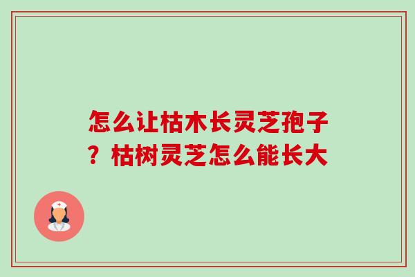 怎么让枯木长灵芝孢子?枯树灵芝怎么能长大-第1张图片-卓越灵芝孢子粉 怎么让枯木长灵芝孢子?枯树灵芝怎么能长大-第1张图片-卓越灵芝孢子粉