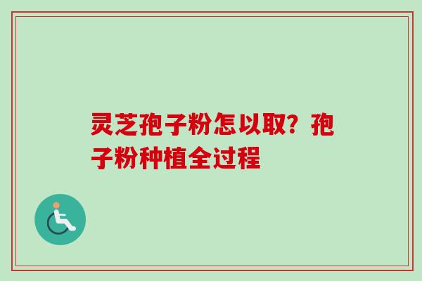 灵芝孢子粉怎以取?孢子粉种植全过程-第1张图片-卓越灵芝孢子粉 灵芝孢子粉怎以取?孢子粉种植全过程-第1张图片-卓越灵芝孢子粉