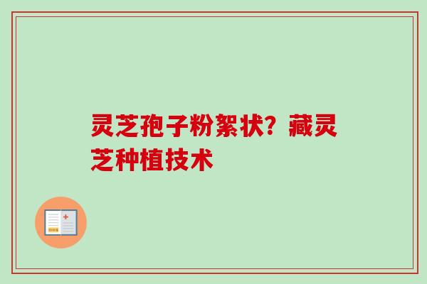 灵芝孢子粉絮状？藏灵芝种植技术-第1张图片-卓越灵芝孢子粉