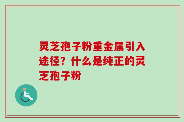 灵芝孢子粉重金属引入途径？什么是纯正的灵芝孢子粉-第1张图片-卓越灵芝孢子粉