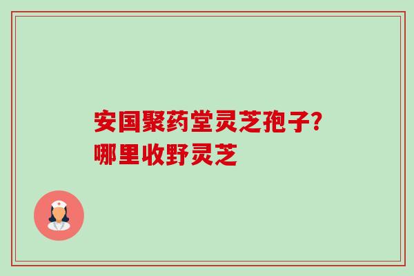 安国聚药堂灵芝孢子?哪里收野灵芝-第1张图片-卓越灵芝孢子粉 安国聚药堂灵芝孢子?哪里收野灵芝-第1张图片-卓越灵芝孢子粉